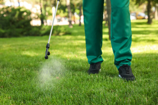 Best Mosquito Control Services  in Fountain Hill, PA
