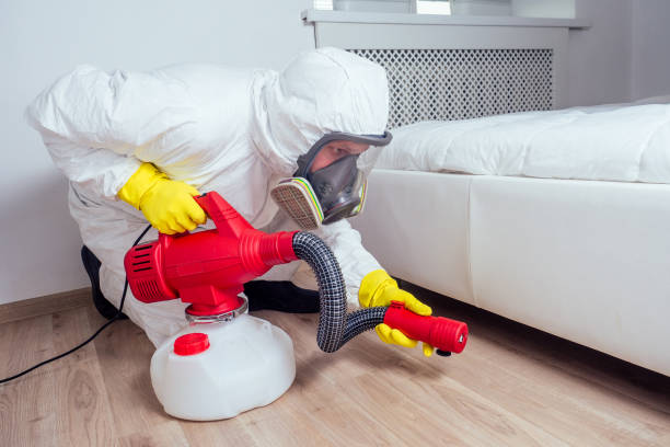 Best Emergency Pest Control  in Fountain Hill, PA