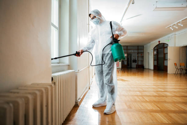 Best Rat Extermination Near Me  in Fountain Hill, PA