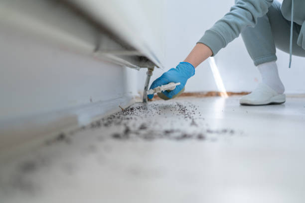 Best Cockroach Control Services  in Fountain Hill, PA